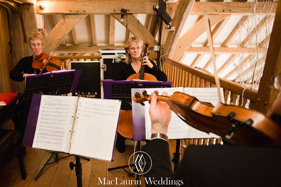 musicians playing at a wedding